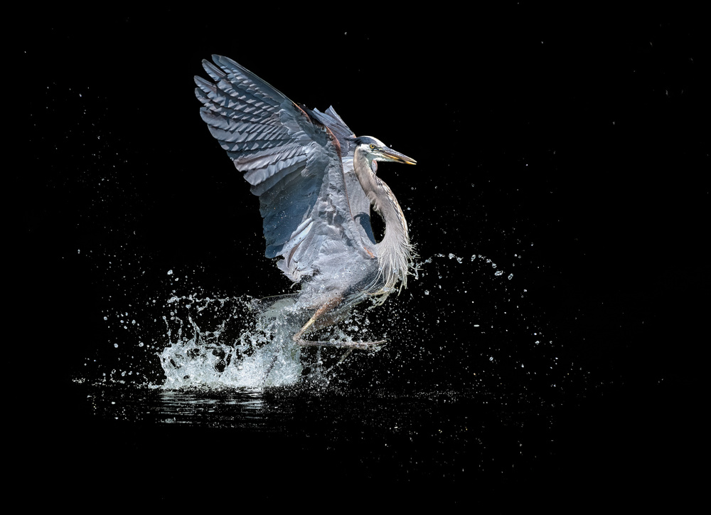 Marching on Water von Alex Li