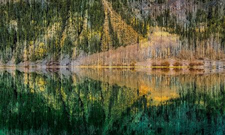 Reflection in the Lake