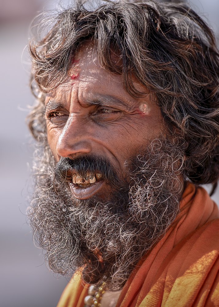 Sadhu von Alex Lu