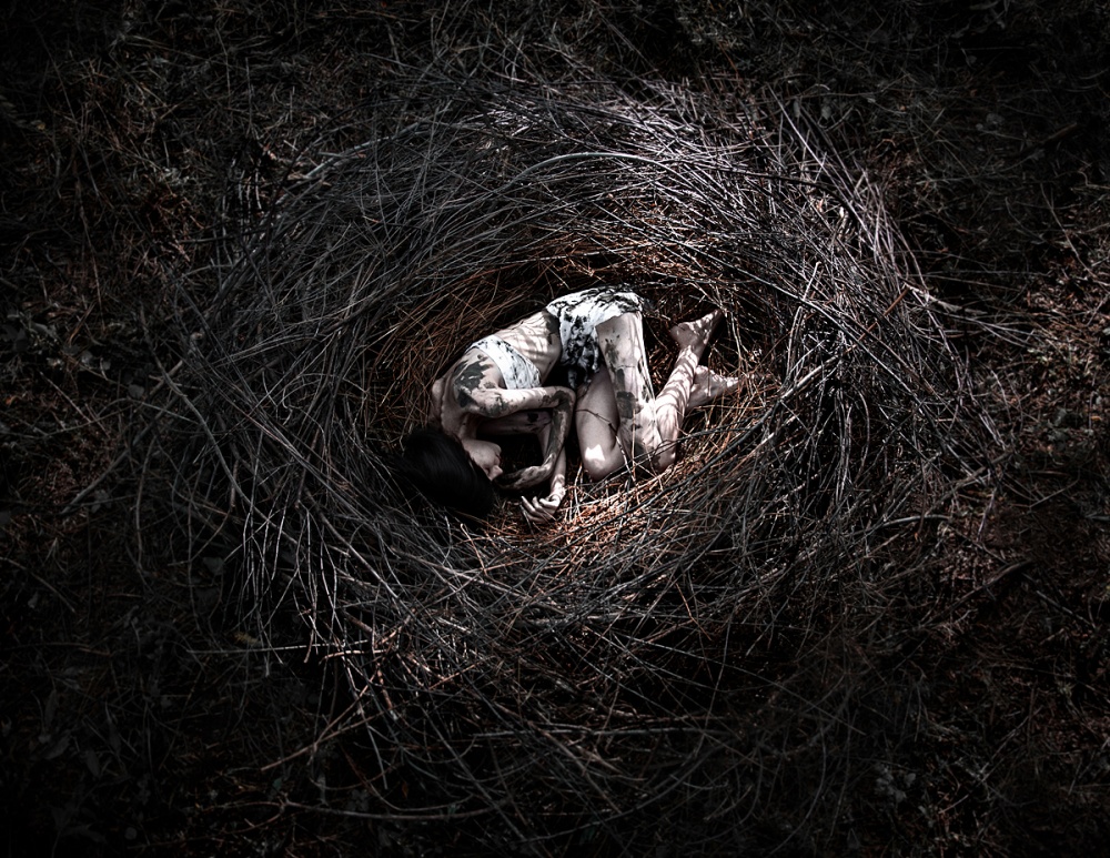 Loneliness in the nest von Alex Malikov