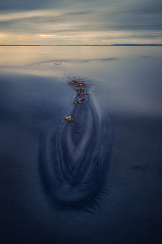 Crocodile on the beach von Alex Zhao