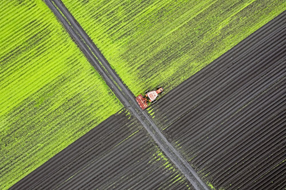 Alone in the field von Alexander Bondarenko