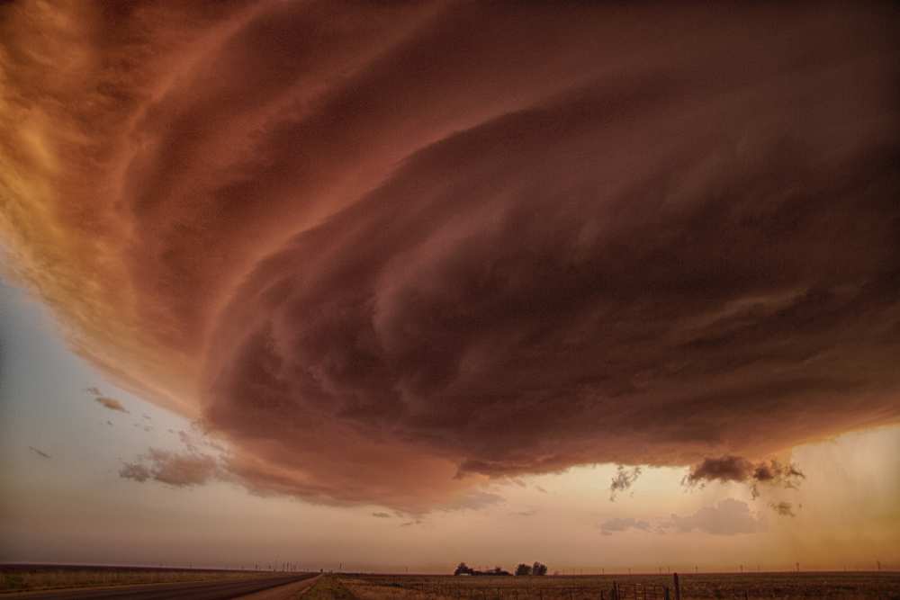 The Pink Storm von Alexander Fisher