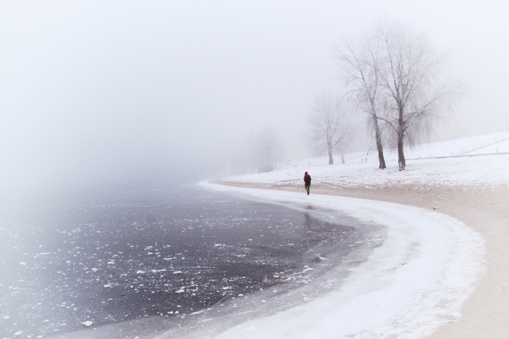 December. Alone von Alexander Kiyashko