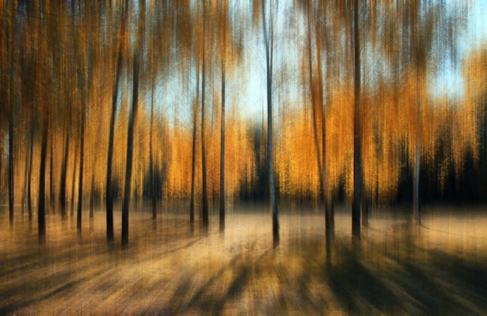 Autumn von Alexander Kiyashko