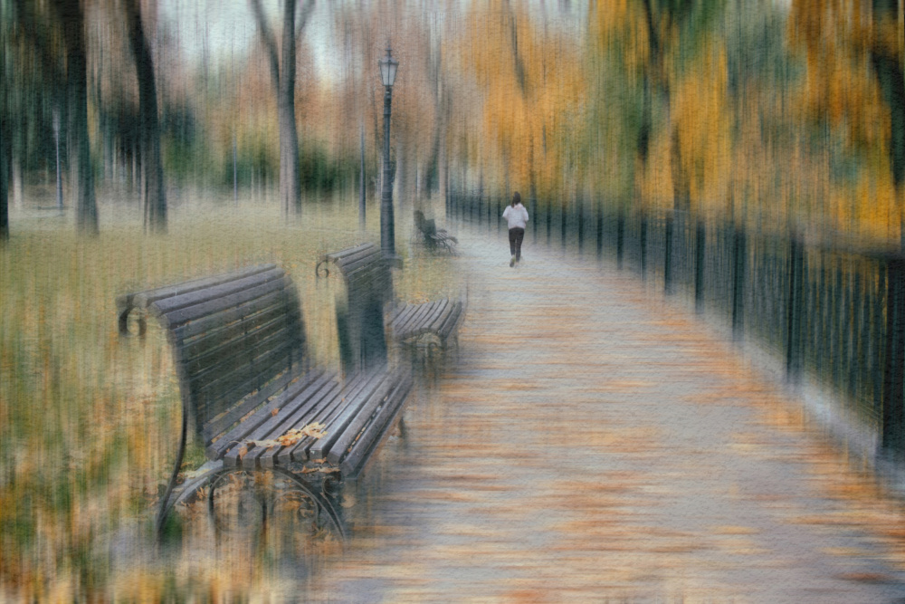 Autumn park von Alexander Kiyashko