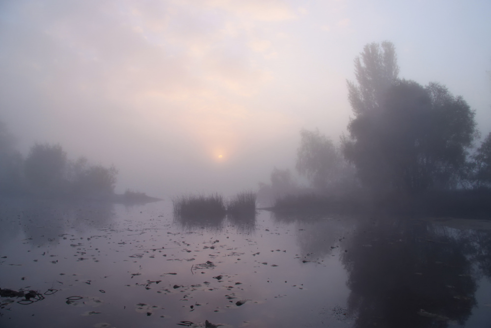 Foggy morning von Alexander Kiyashko