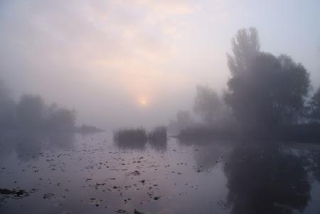 Foggy morning