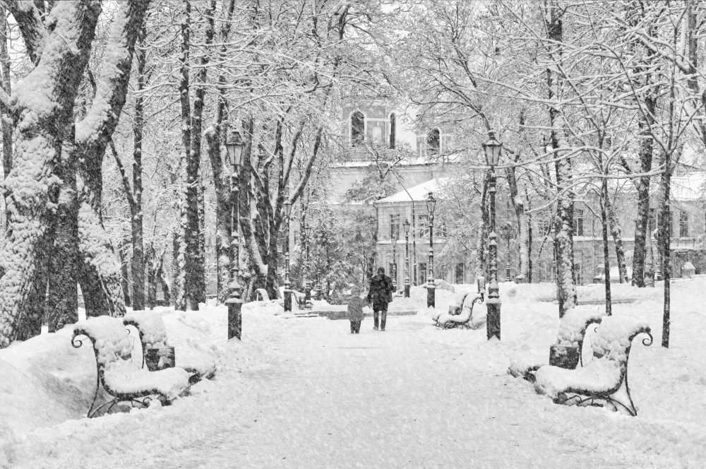 Walk in the winter park von Alexander Kiyashko