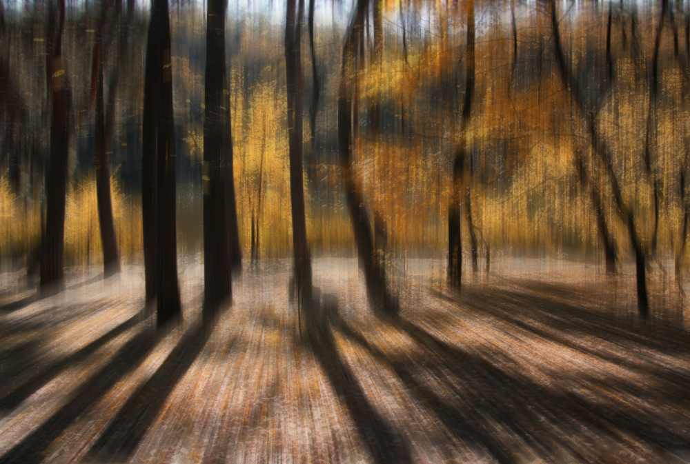 Warm autumn day von Alexander Kiyashko