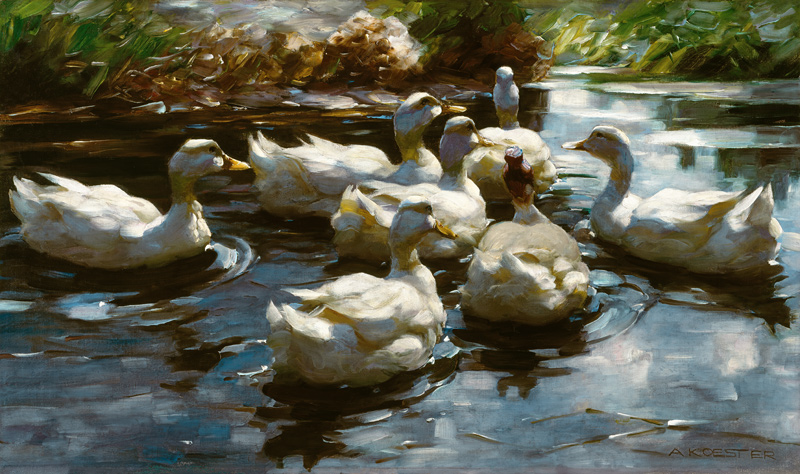 Enten im Teich von Alexander Koester