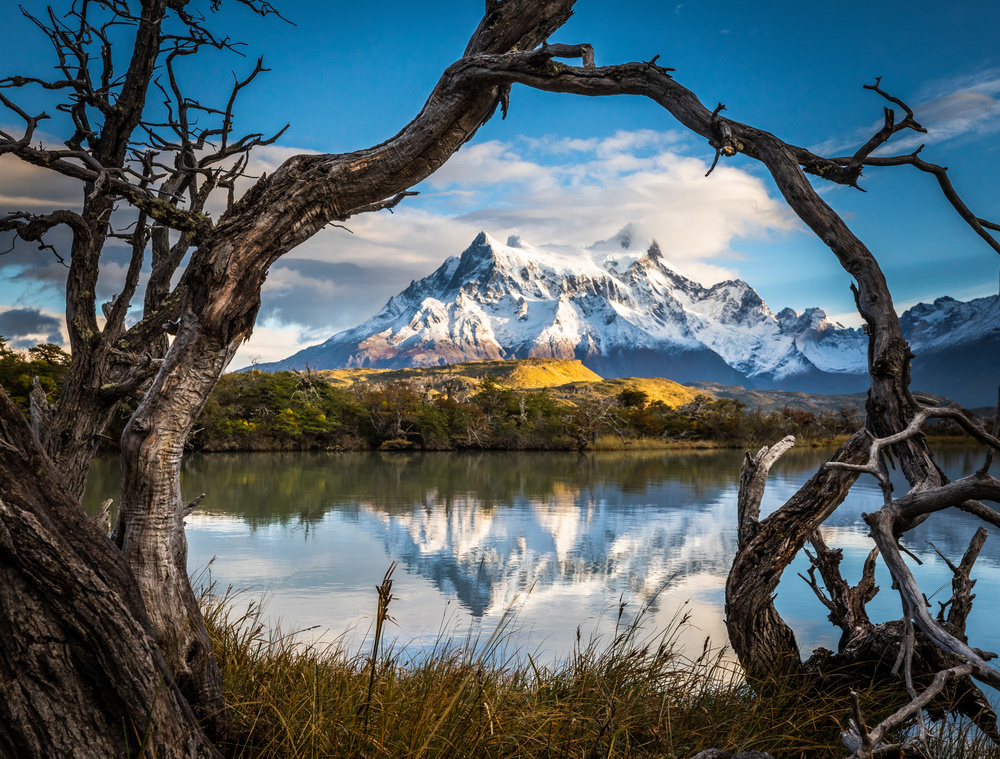 Patagonia von Alexander Lozitsky