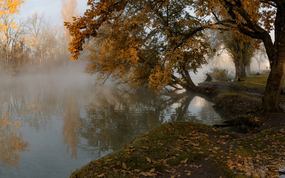 Autumn misty morning with a lone fisherman von Alexander Plekhanov