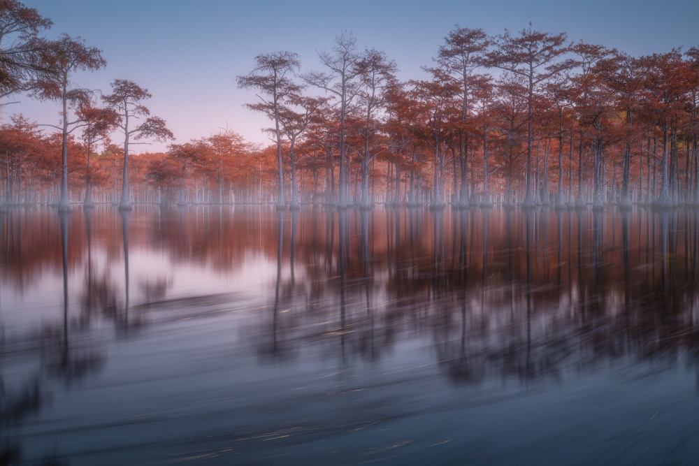 Evening cypresses von Alexandr Kukrinov