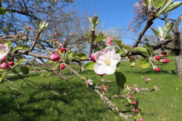 Schätze der Natur von Alexandra  Joseph 