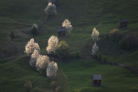 Sunset light