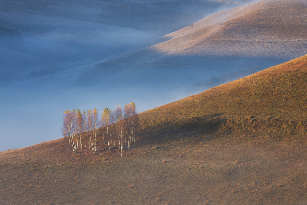 Chromatic sunrise von Alexandru Ionut Coman