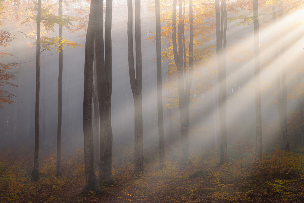 Light around the corner von Alexandru Ionut Coman