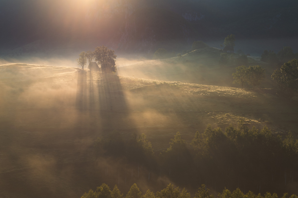 Transylvanian morning von Alexandru Ionut Coman