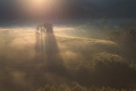 Transylvanian morning