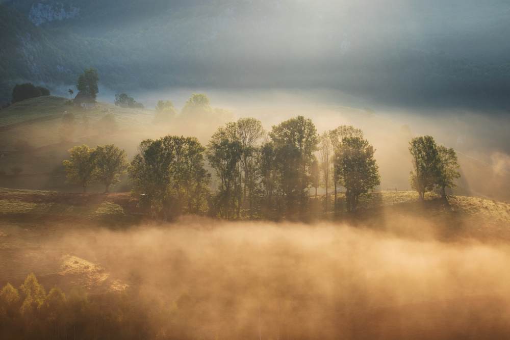 Sunrise veil von Alexandru Ionut Coman