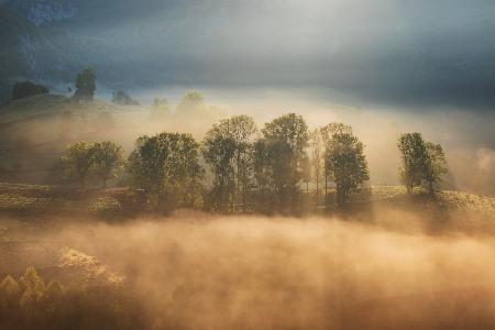 Sunrise veil