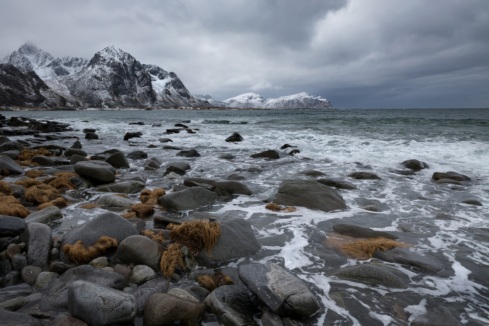 After the Storm von Alfred Forns