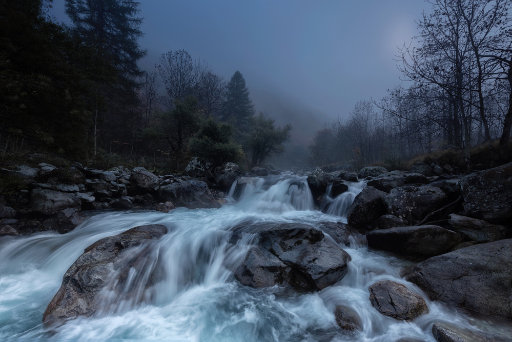 Waterland von Alfredo Bruzzone