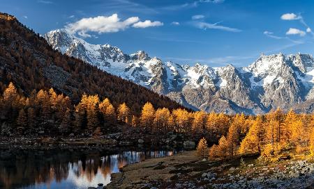 Autumn in the Alps