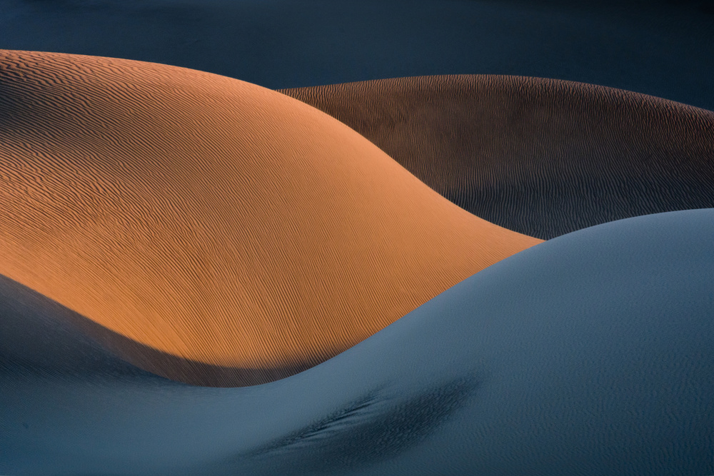 The Curves von Ali Asghar Alimoradi