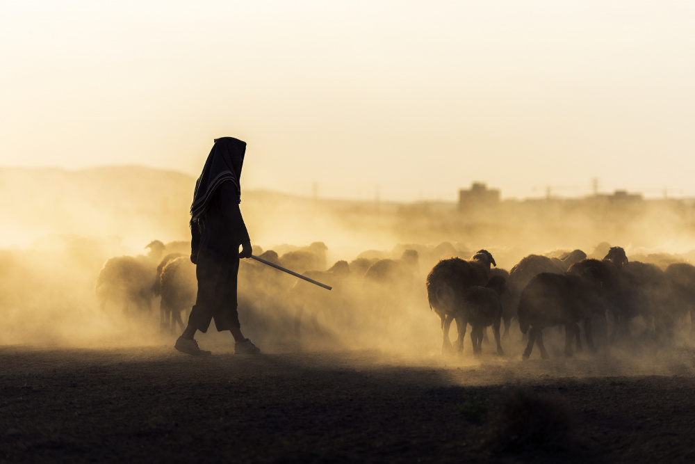 In the middle of the sunset von Ali Azar