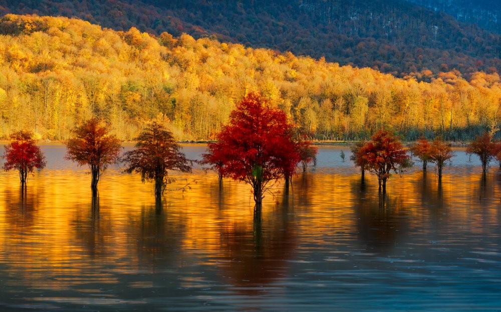 Golden sunset von Ali Fallahzadeh