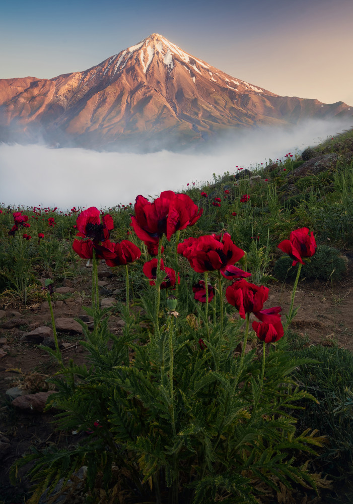 dreamy sun set von Ali Fallahzadeh