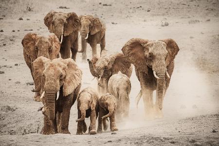 Rushing to the water!