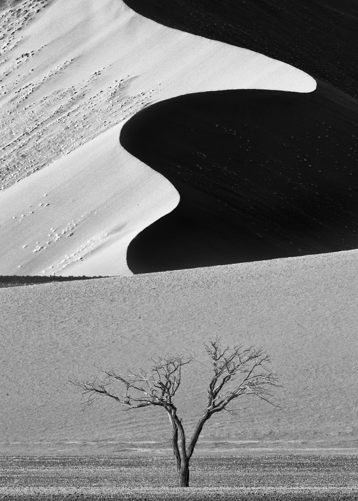 Dune Curves von Ali Khataw