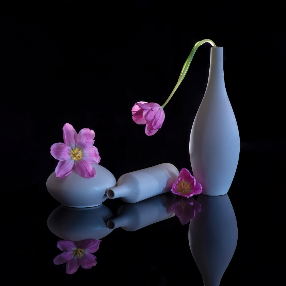 still life 14 von Alice Sheng