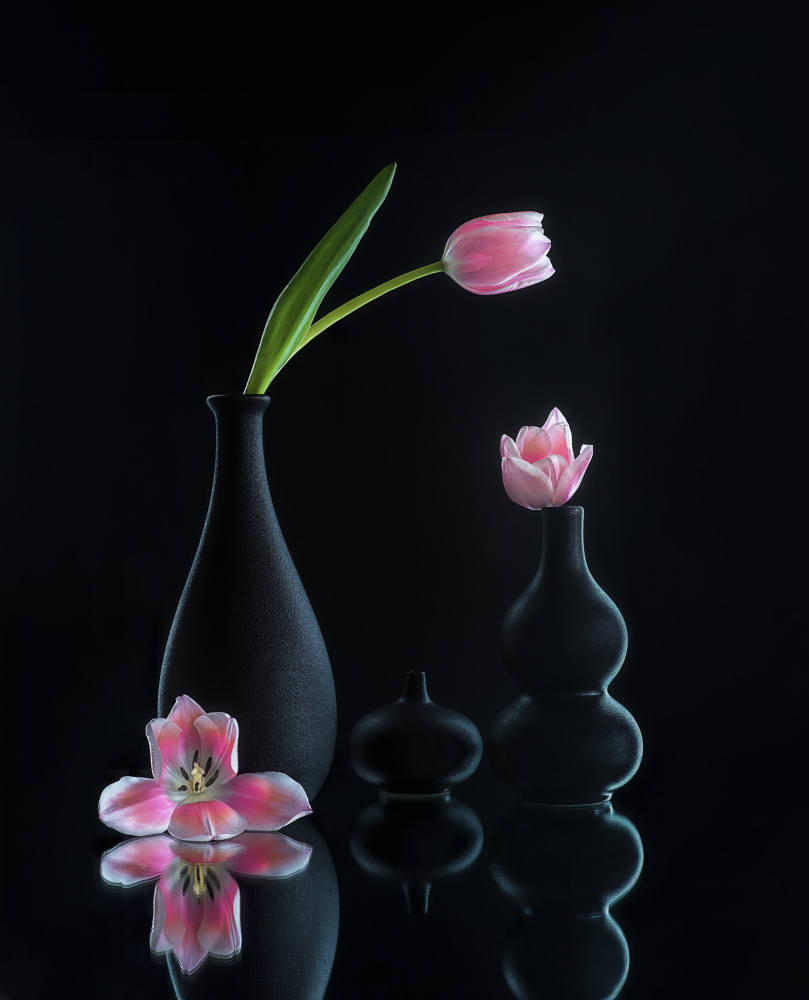 still life 23 von Alice Sheng