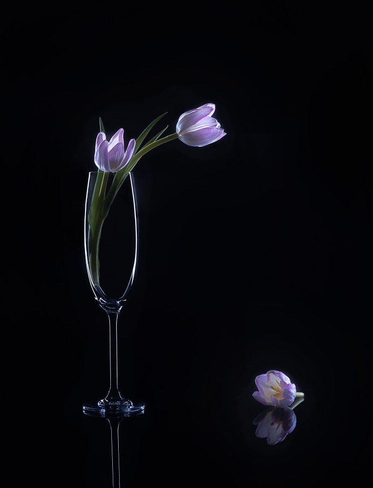 still life 74 von Alice Sheng