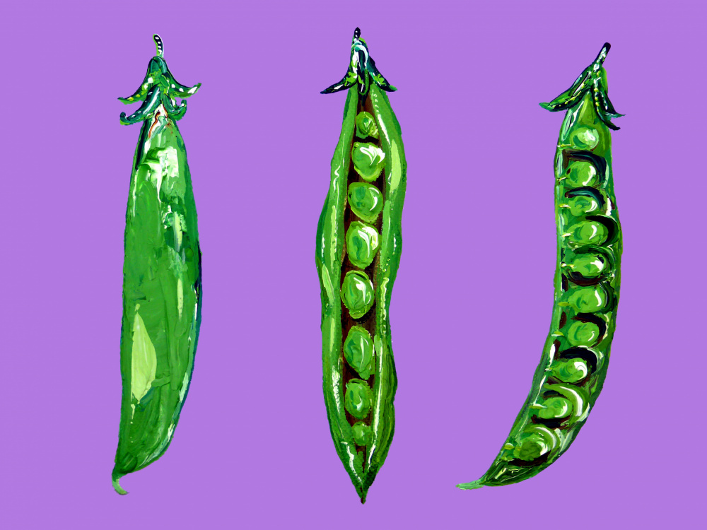 Peas In a Pod von Alice Straker