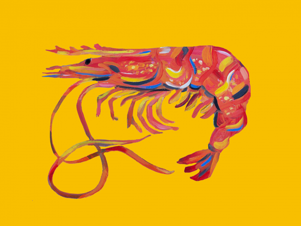 Prawn On Yellow von Alice Straker