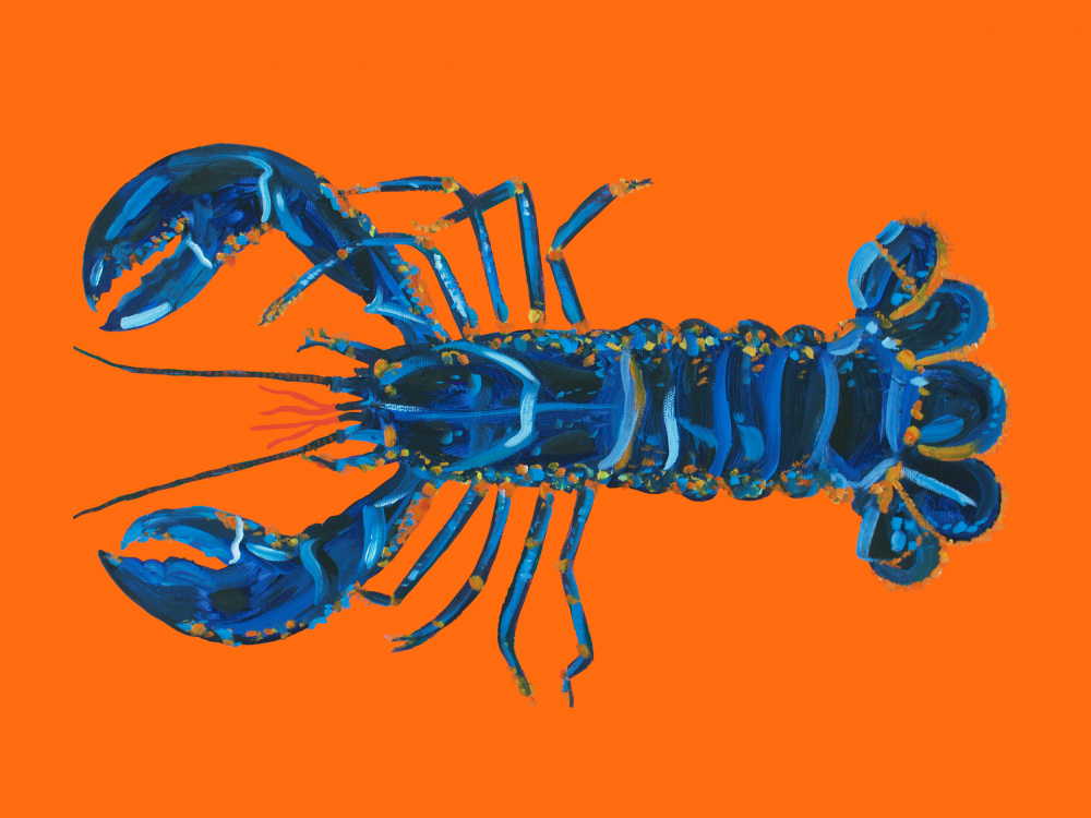 Lobster On Orange von Alice Straker