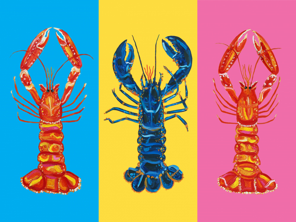 Lobster Langoustines Pop Art von Alice Straker