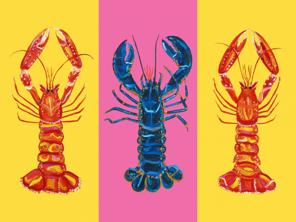 Lobster Langoustines Pop Art 2 von Alice Straker