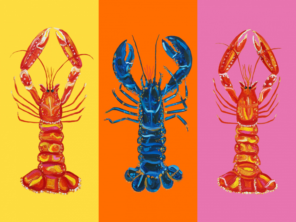 Lobster Langoustines Pop Art 3 von Alice Straker