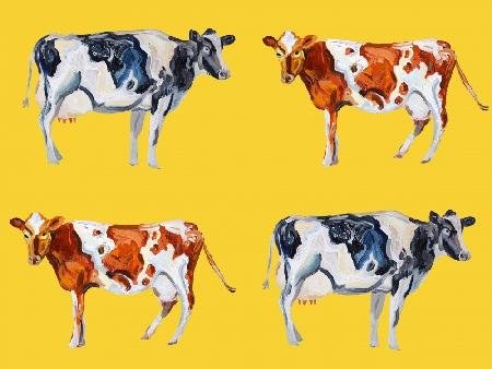 Cow Art On Yellow