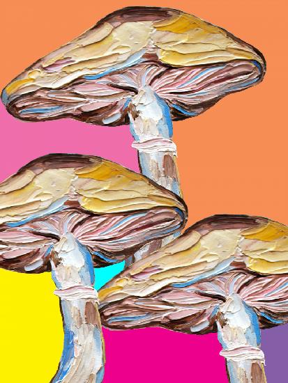 Psychedelic Mushrooms