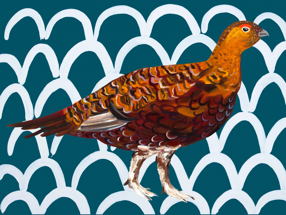 Gorgeous Grouse von Alice Straker