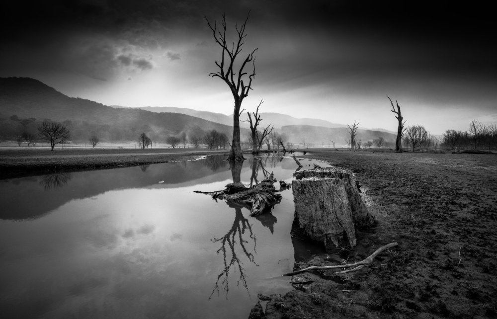 Desolate Lakeside von Allan Li wp