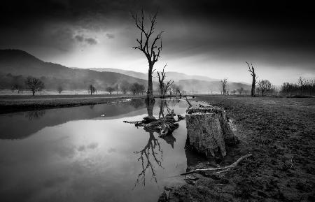 Desolate Lakeside