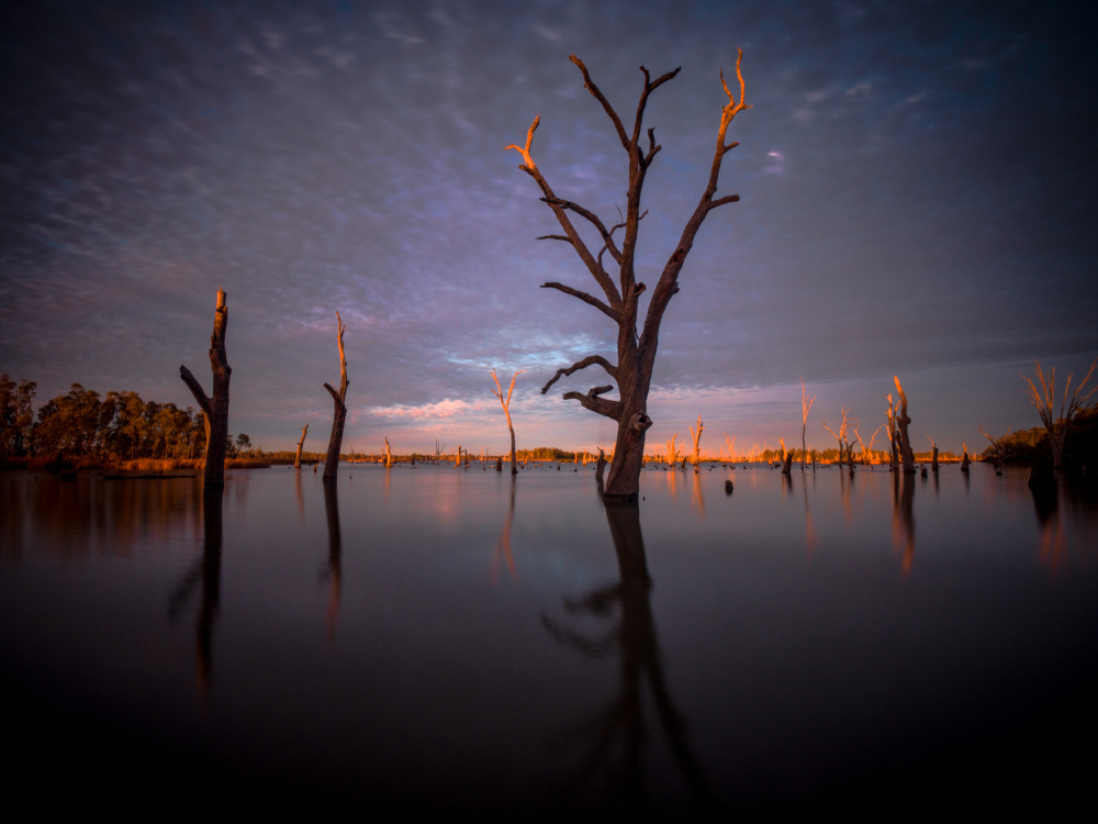 Dawn of Yarrawonga von Allan Li wp